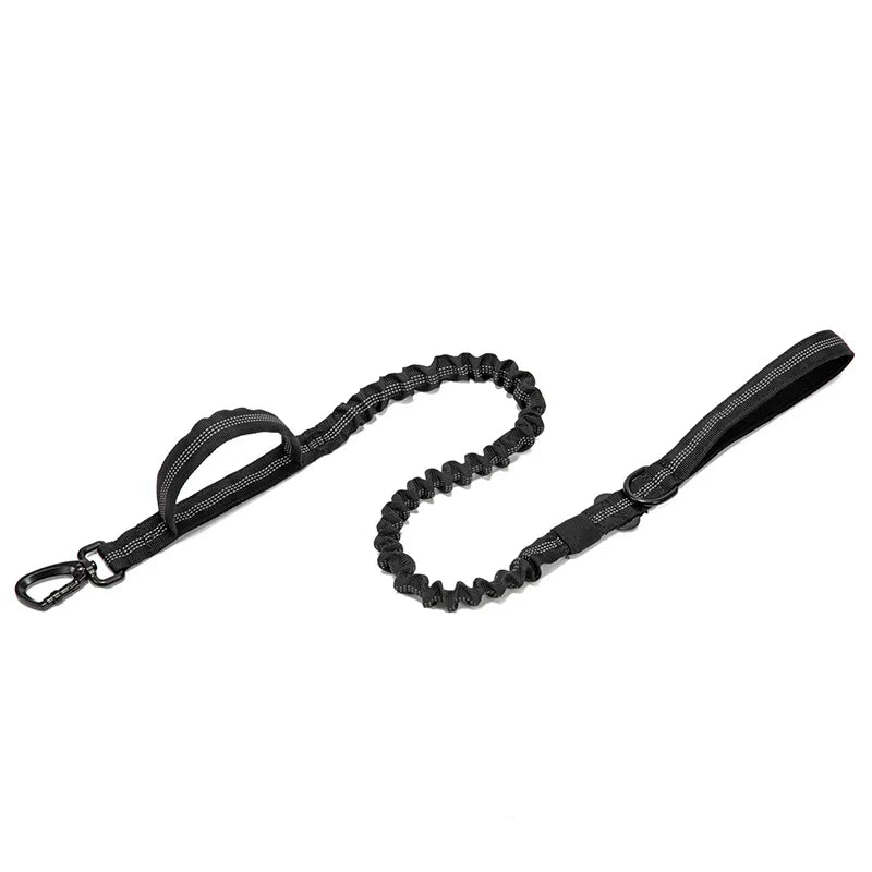 Pet Dog Collar Leash Set