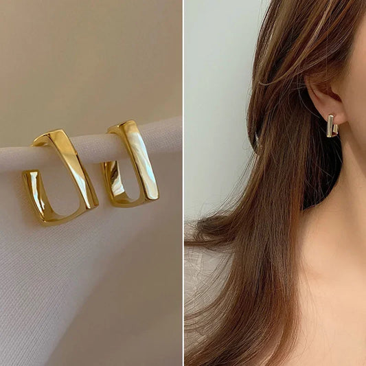 Metal Dangle Earrings