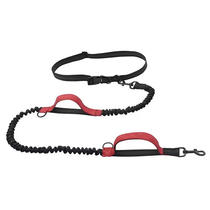 Pet Dual Elastic  Leash