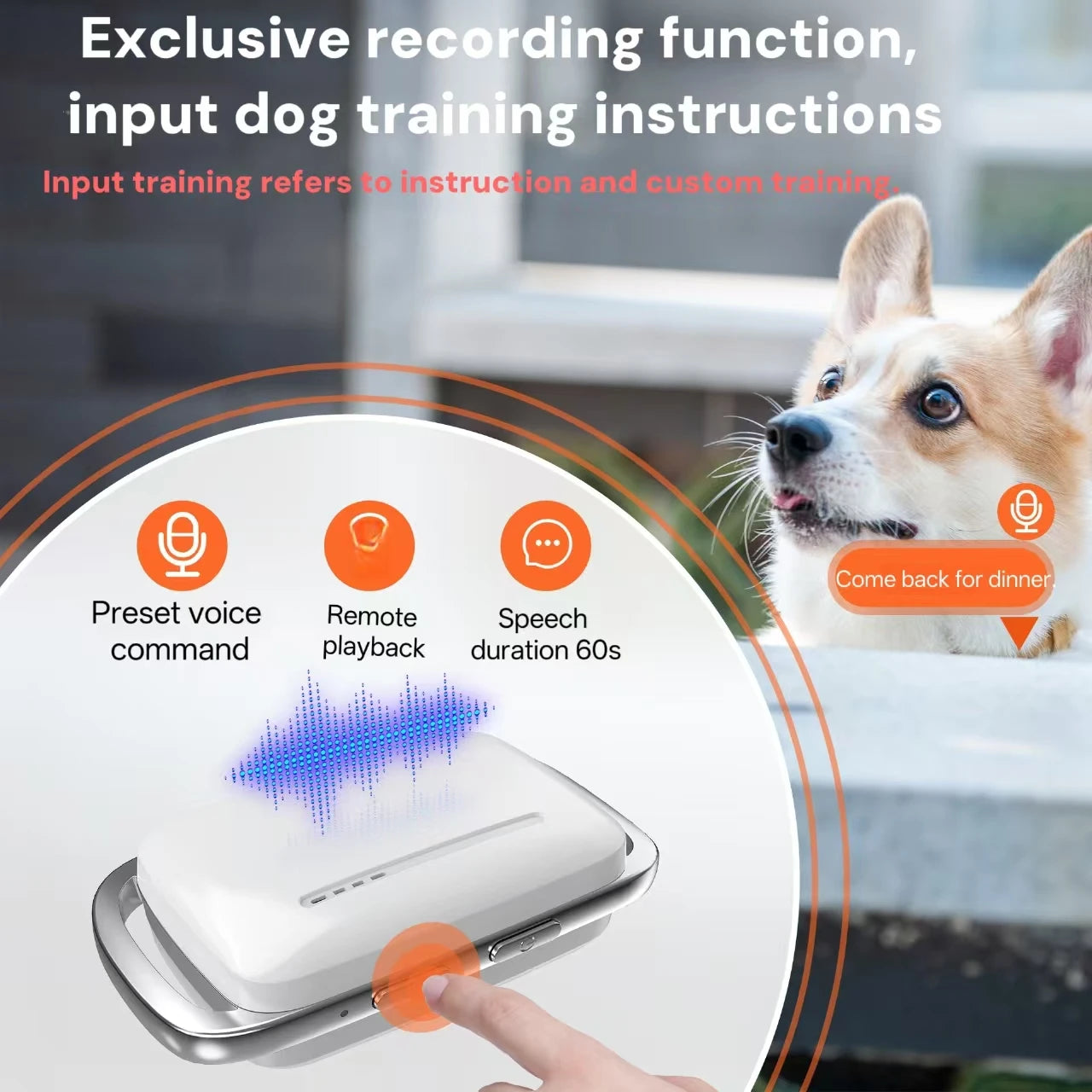 Smart Dog Trainer