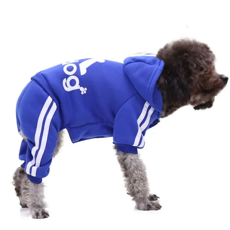 Winter Pet Clothes