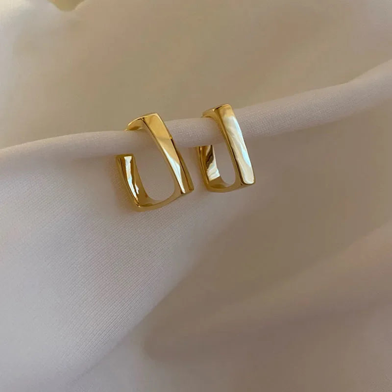 Metal Dangle Earrings
