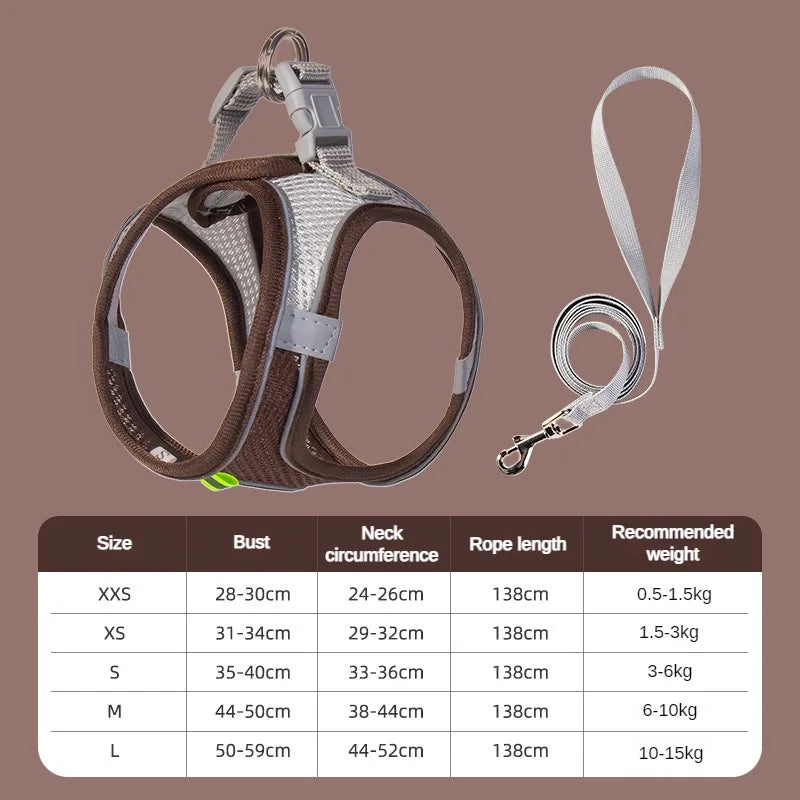 Puppy Harness Set
