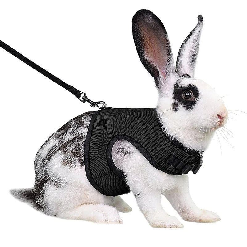 Adjustable Soft Harness