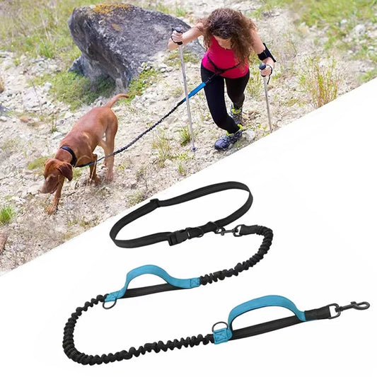 Pet Dual Elastic  Leash