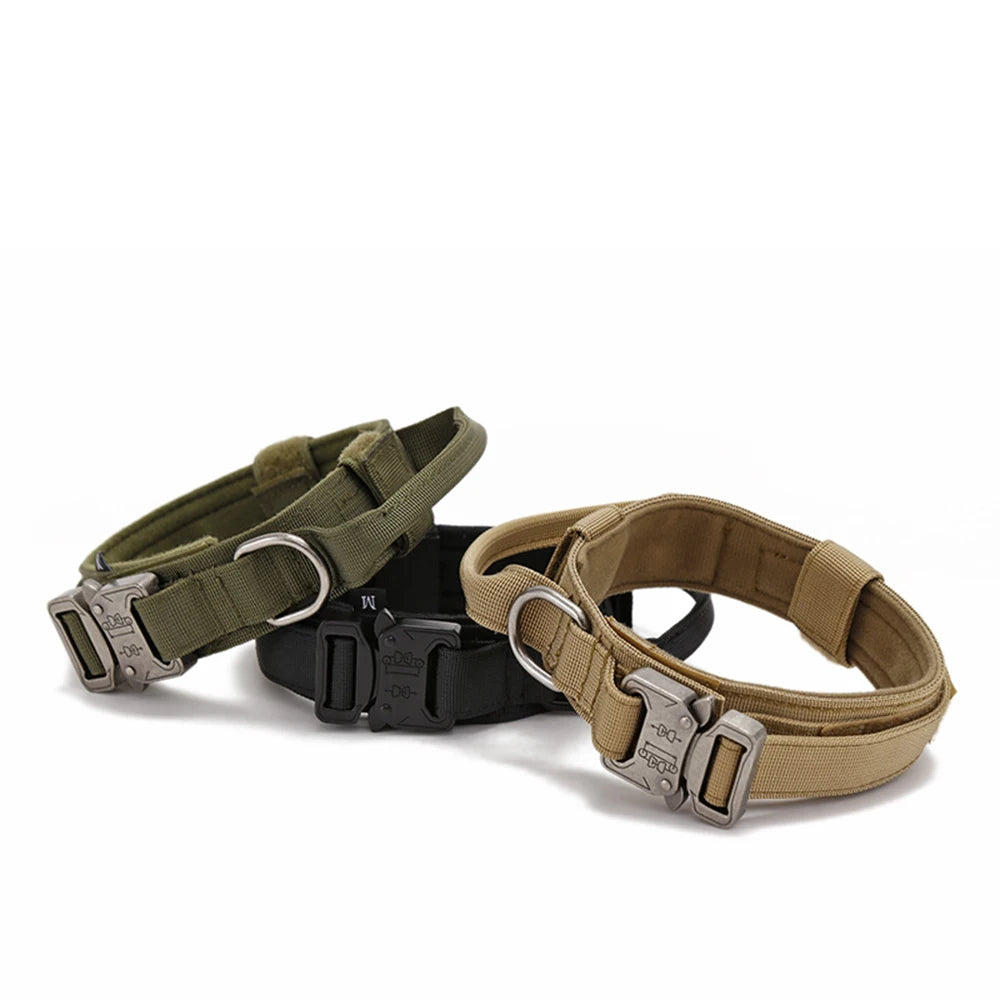 Pet Dog Collar Leash Set