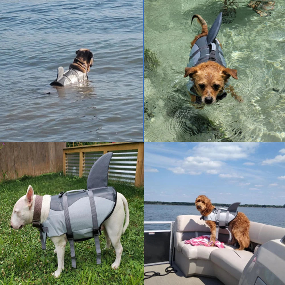 Dog Shark  Swimsuit