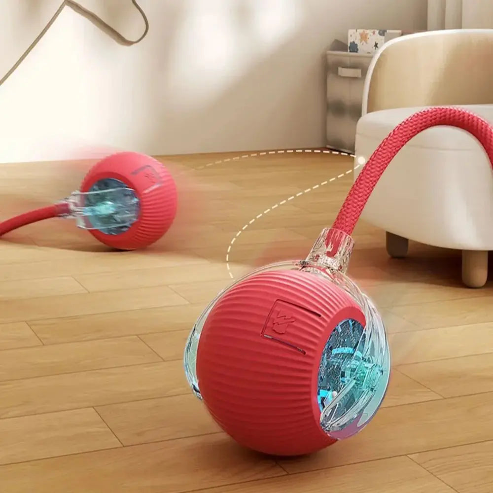 Cat Interactive Ball Toy