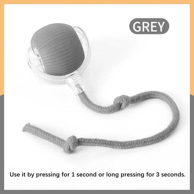 Smart  Electronic  Pet Toy