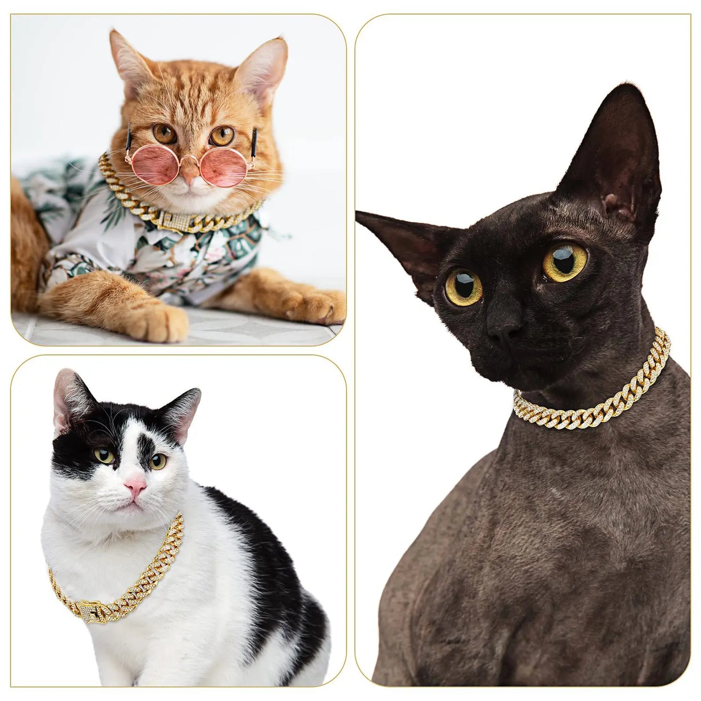Dog  Diamond Cuban Collar