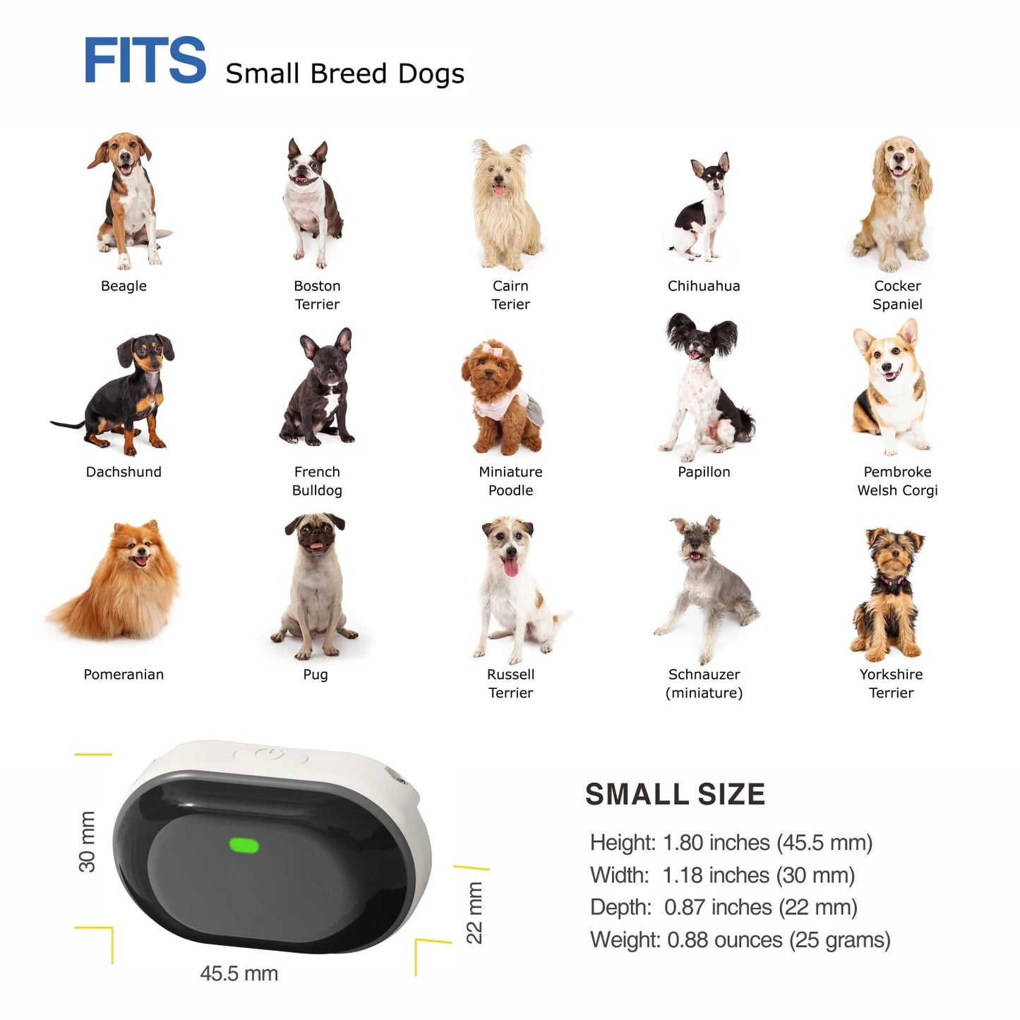 Small Dog Training Collars