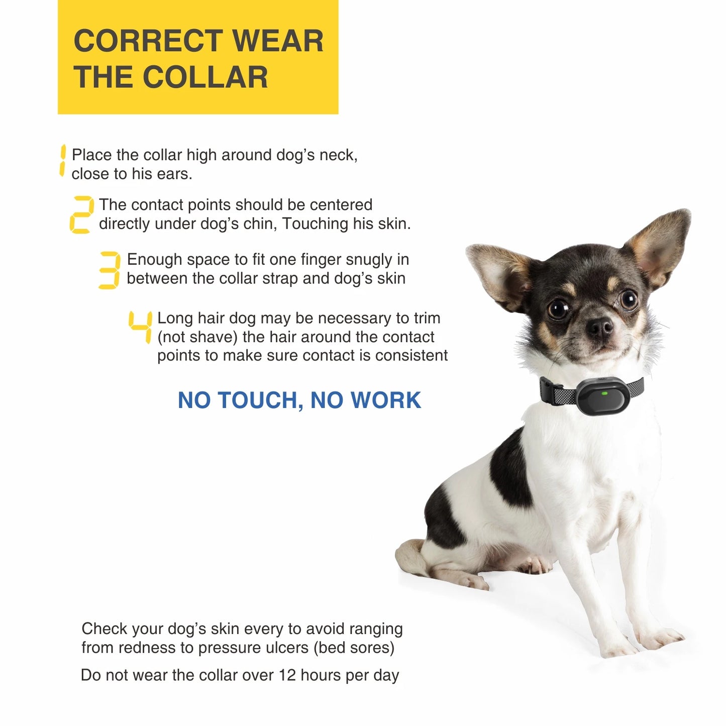 Small Dog Training Collars