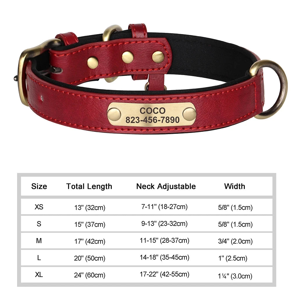 Leather ID  Dog Collar