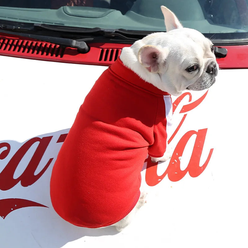 Dog  Winter Clothes