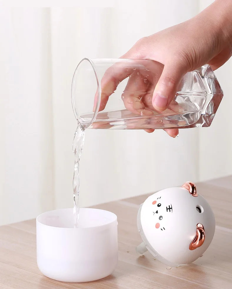 Aroma Diffuser Humidifier