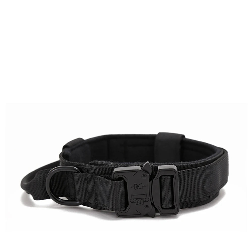 Pet Dog Collar Leash Set
