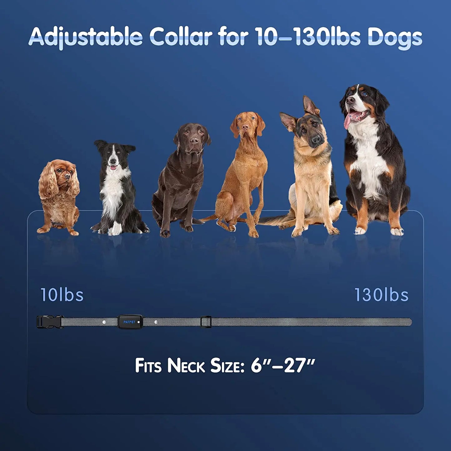 Dog Training E-collar