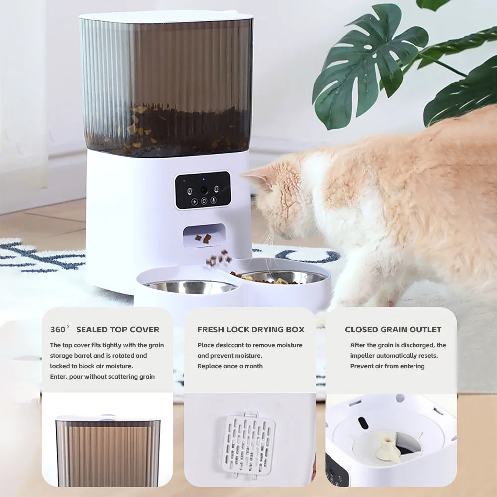 Smart Automatic Cat Feeder