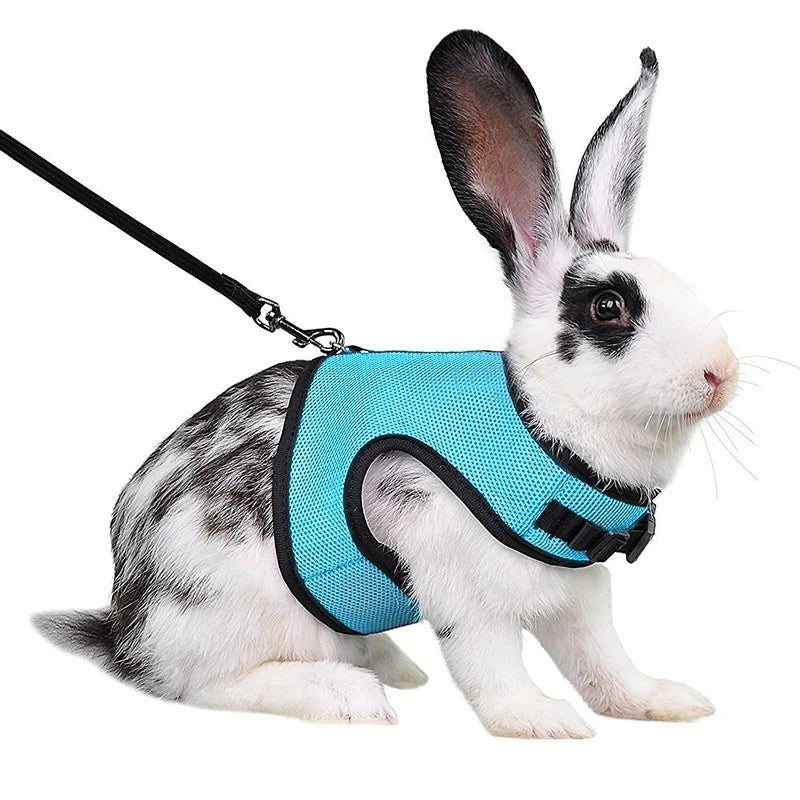 Adjustable Soft Harness
