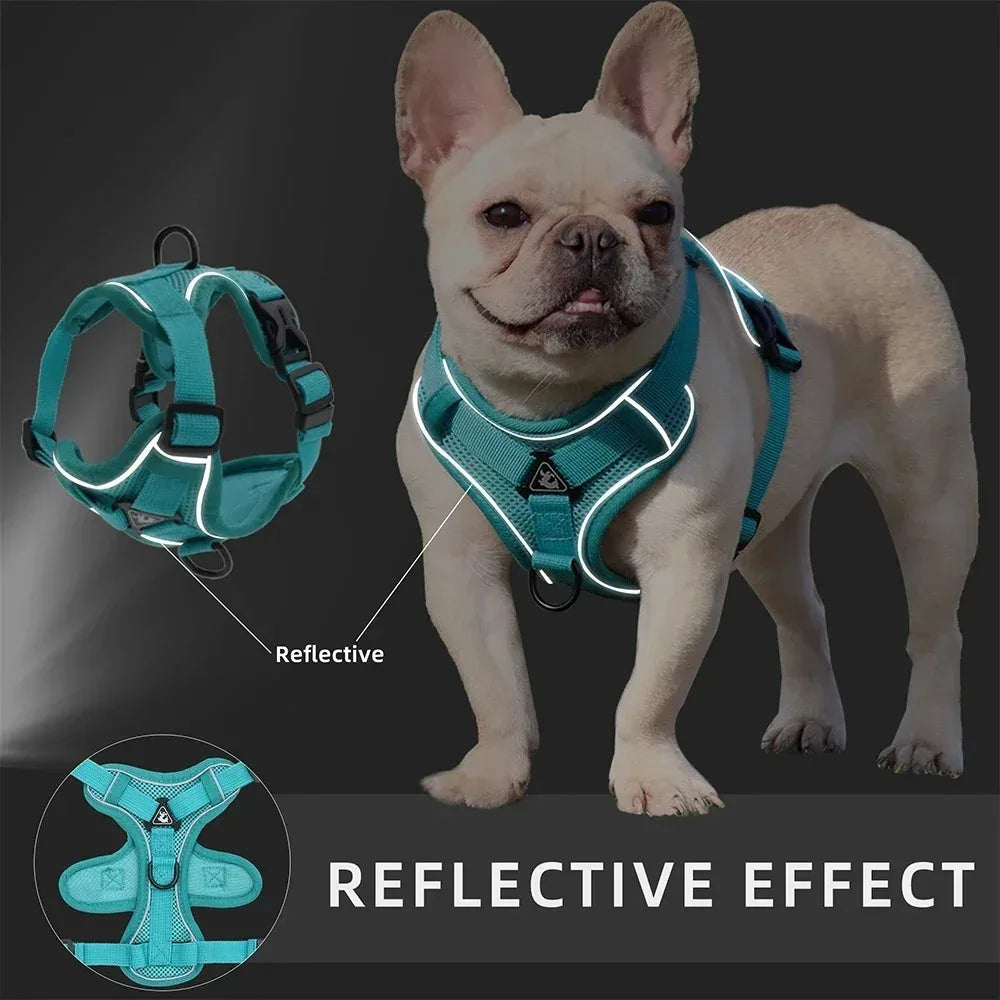 Adjustable Pet Harness Vest
