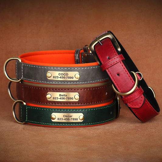 Leather ID  Dog Collar