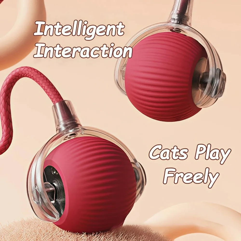 Cat Interactive Ball Toy