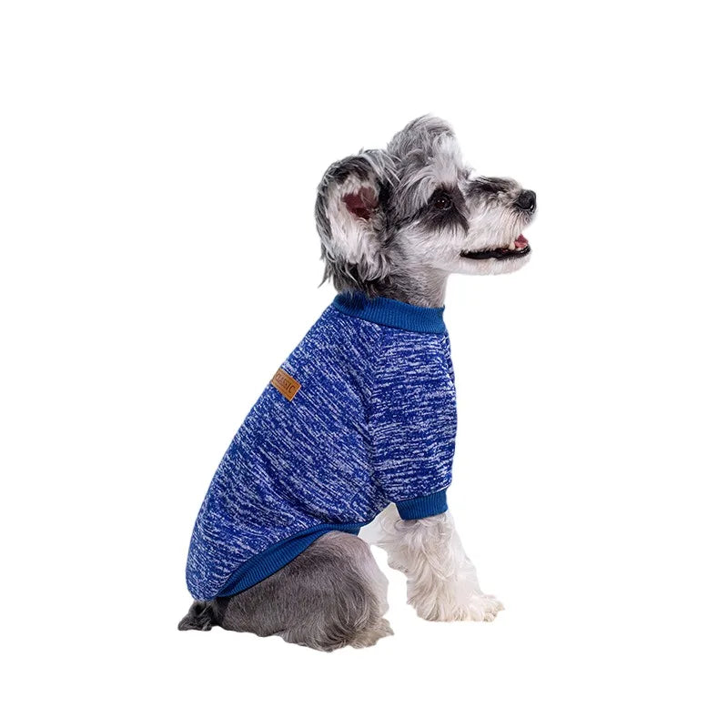 Puppy Cat Jacket