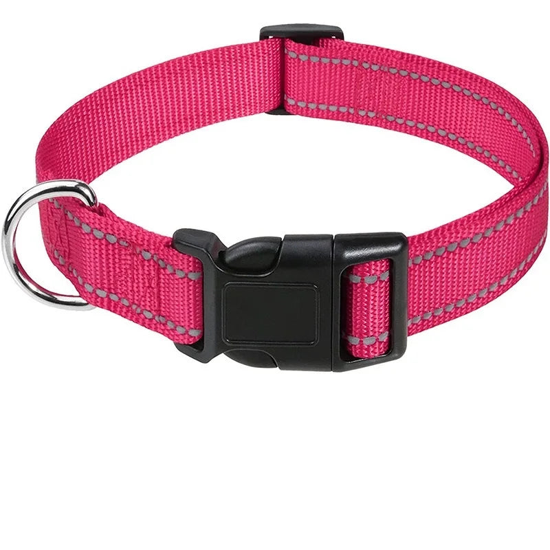 Puppy Neck Collar