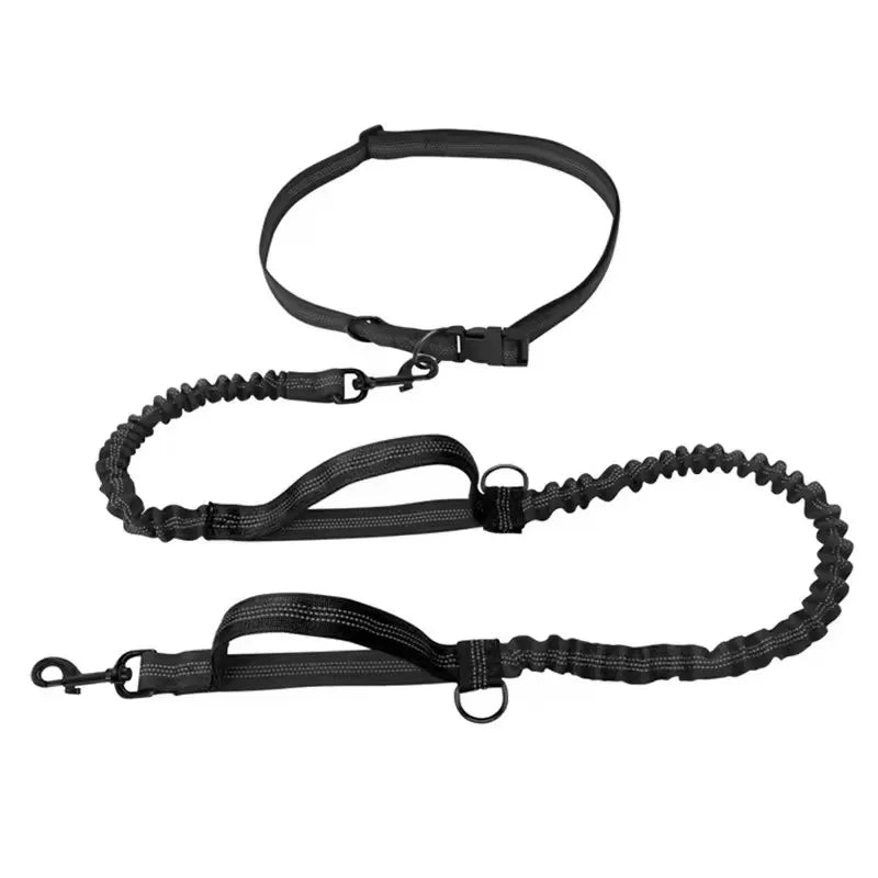 Pet Dual Elastic  Leash