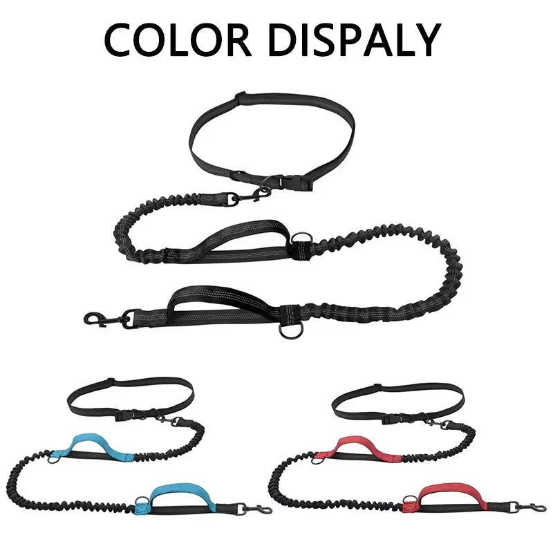 Pet Dual Elastic  Leash