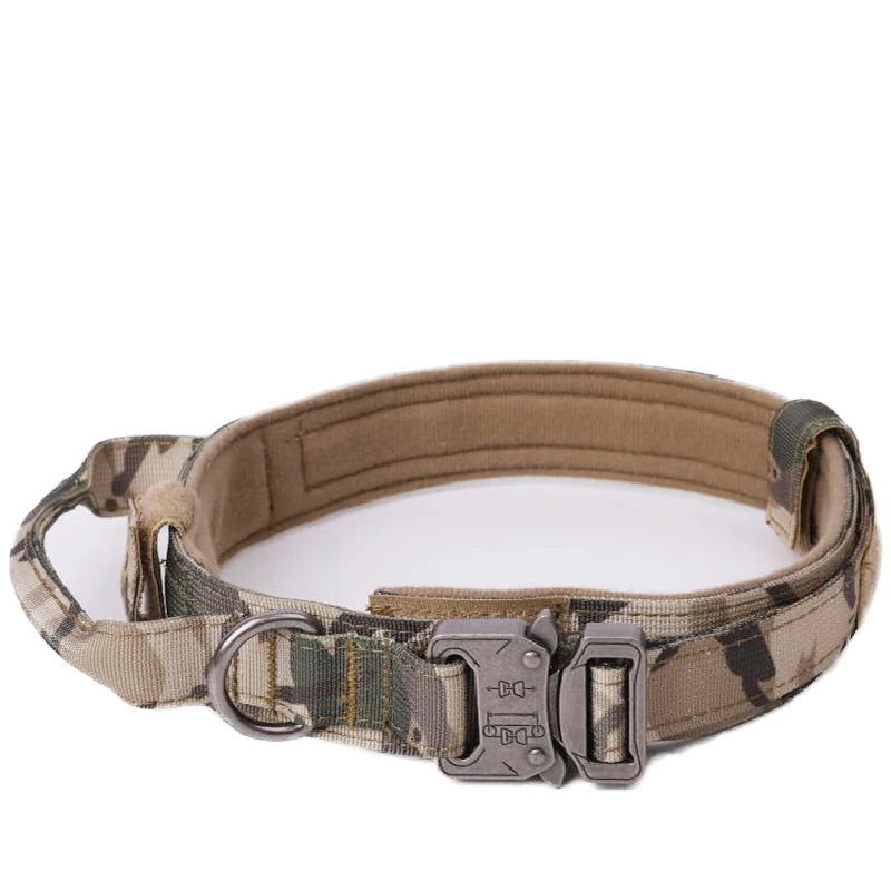 Pet Dog Collar Leash Set