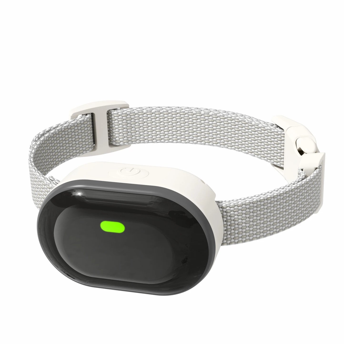 Small Dog Training Collars