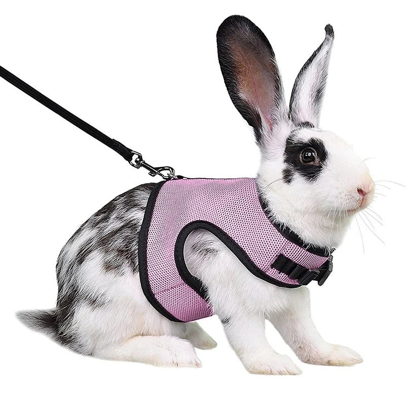 Adjustable Soft Harness