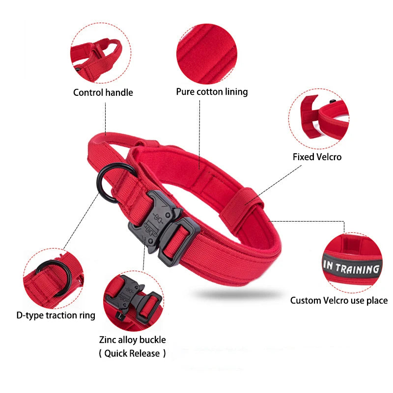 Pet Dog Collar Leash Set