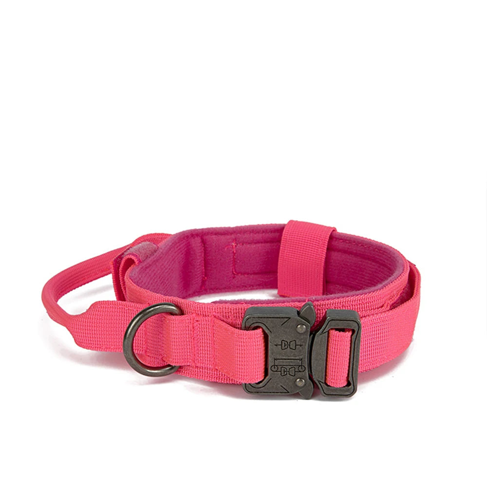 Pet Dog Collar Leash Set