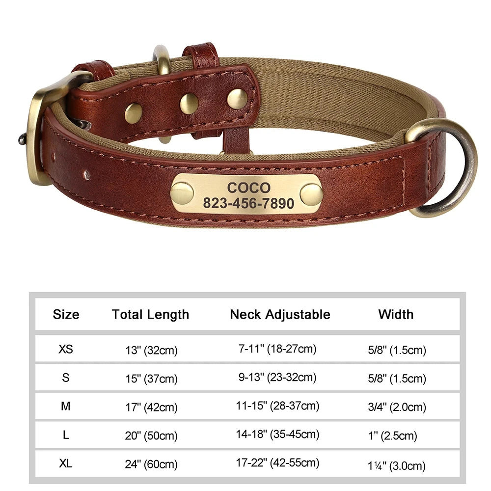 Leather ID  Dog Collar