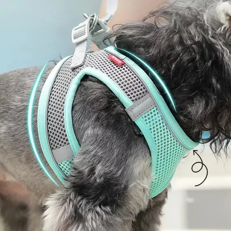 Puppy Harness Set