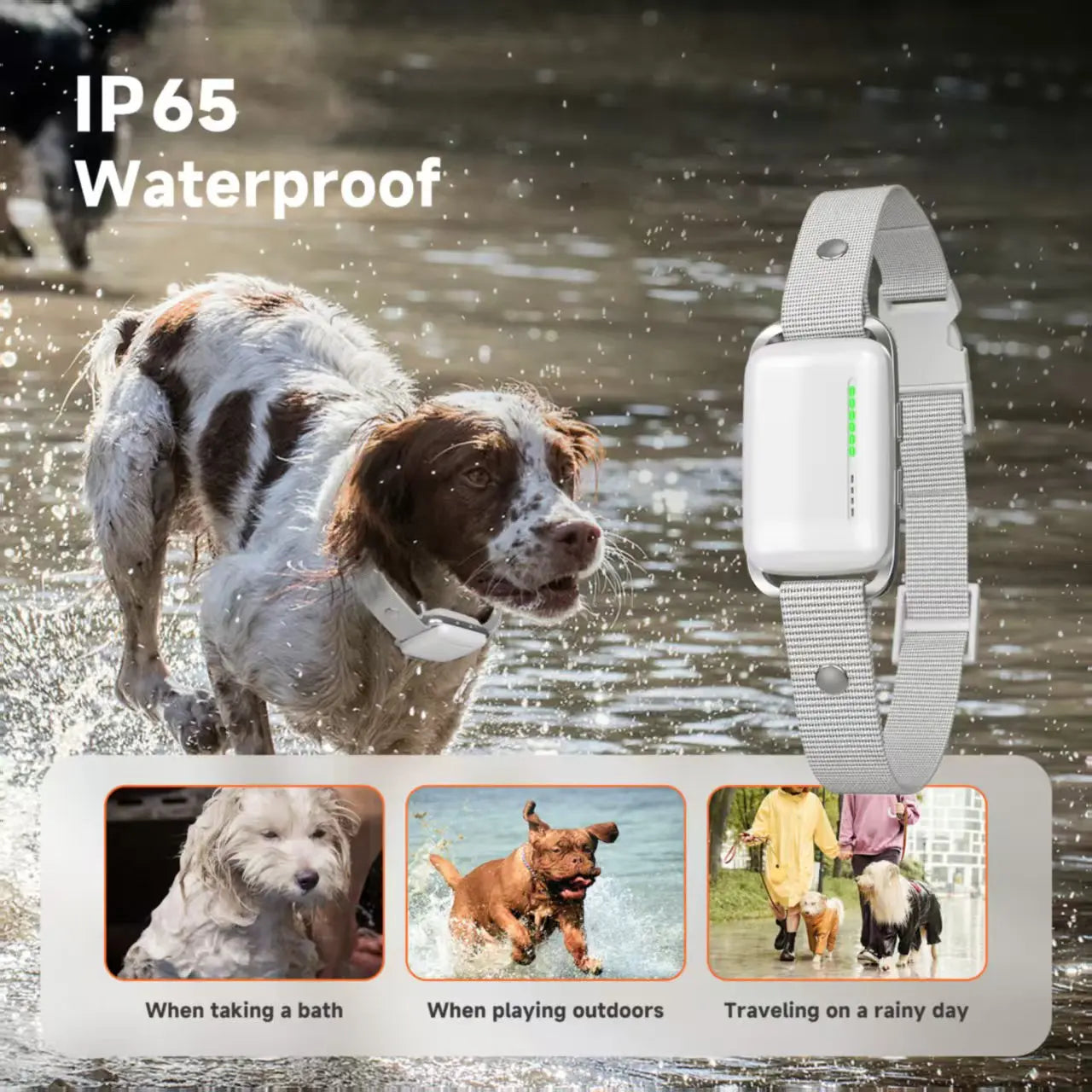 Smart Dog Trainer