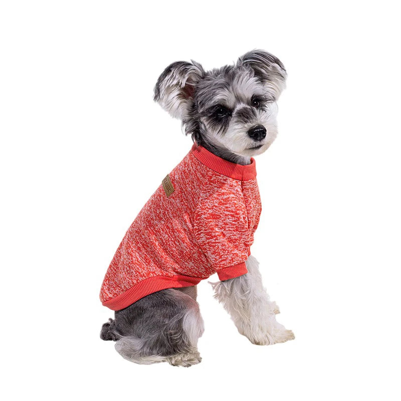 Puppy Cat Jacket