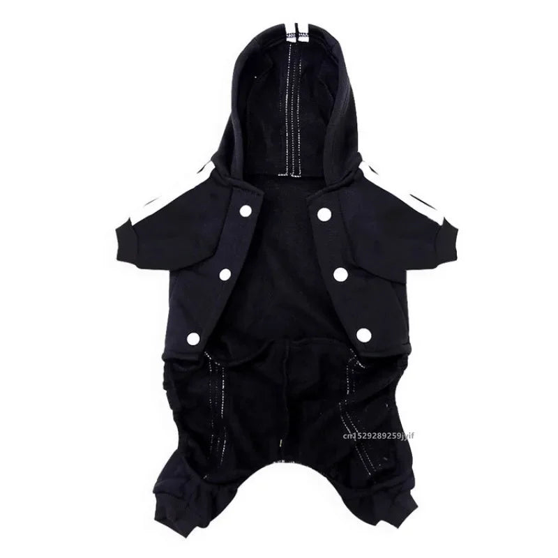 Winter Pet Clothes