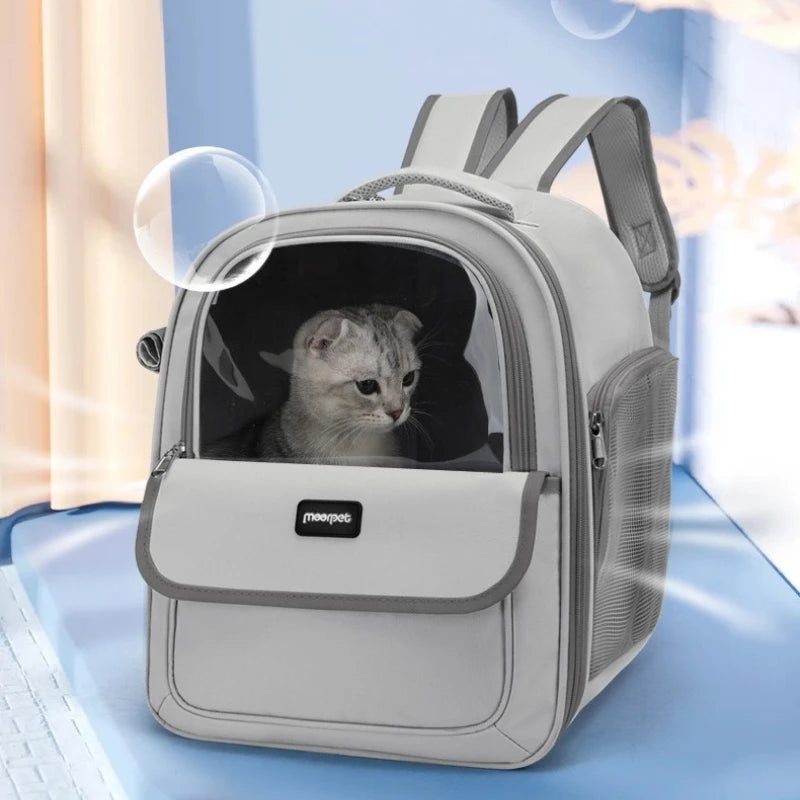 Portable Foldable Pet Carrier