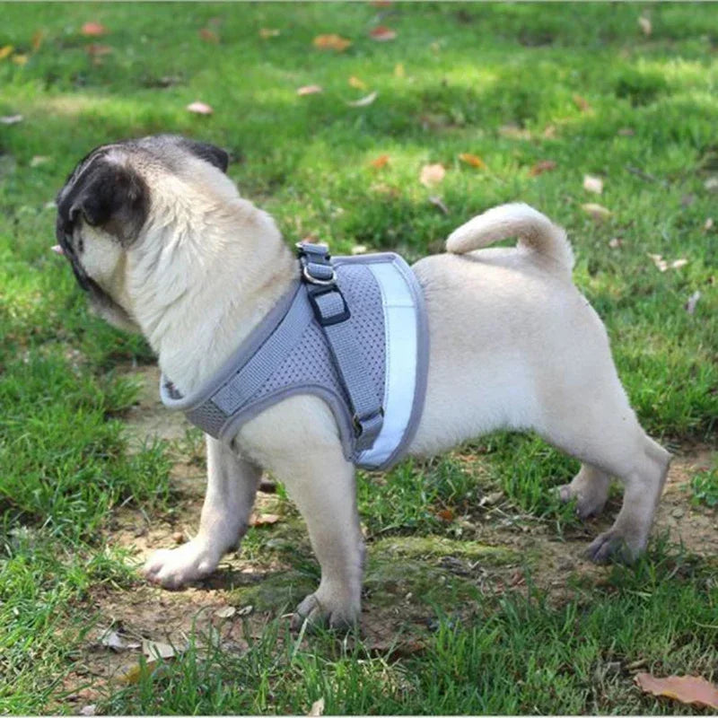 Adjustable Mesh Vest   Harness