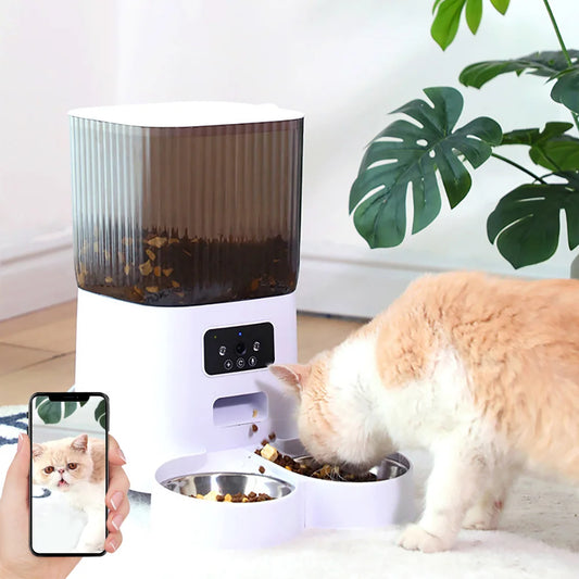 Smart Automatic Cat Feeder