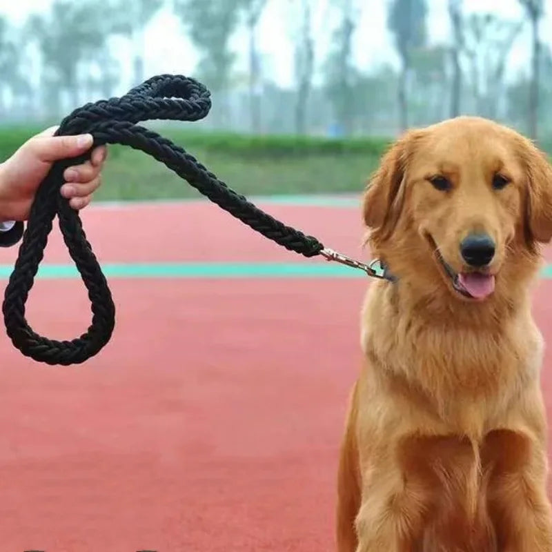 Large Dog Leash