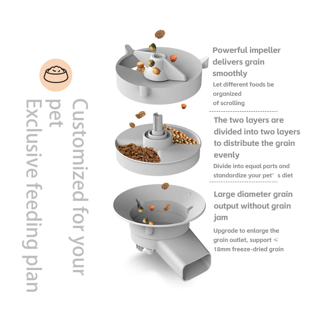 Smart Automatic Cat Feeder