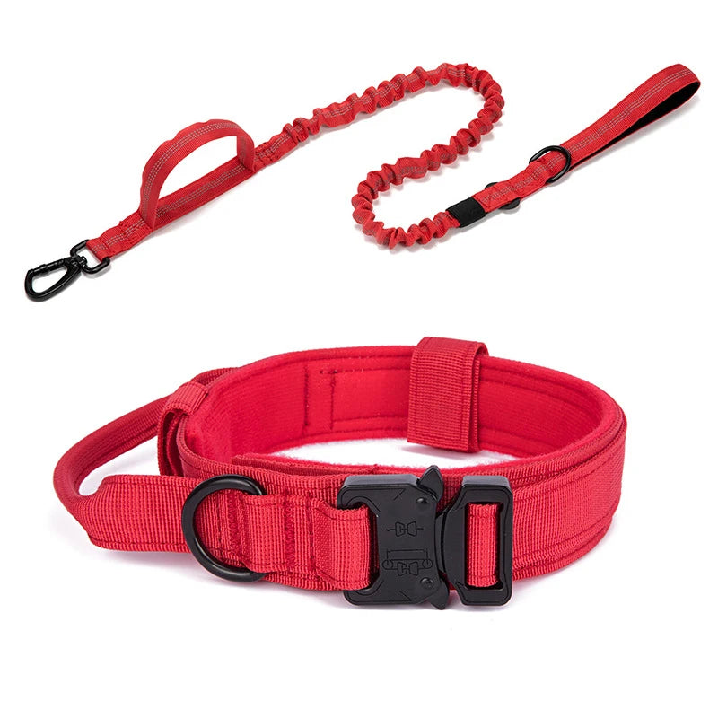 Pet Dog Collar Leash Set