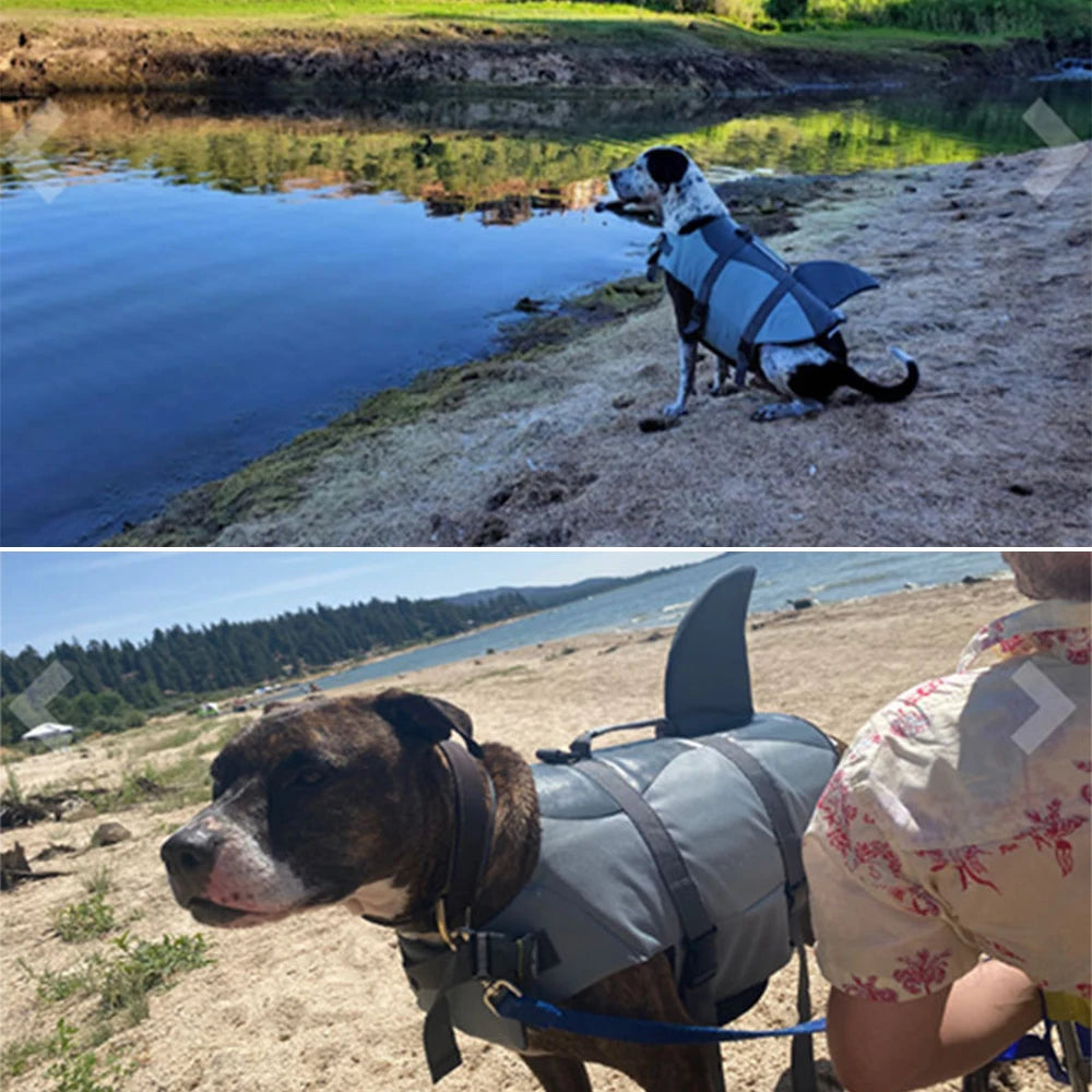 Dog Shark  Swimsuit