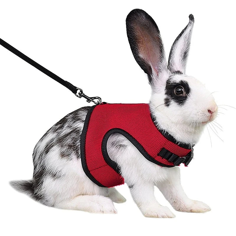 Adjustable Soft Harness