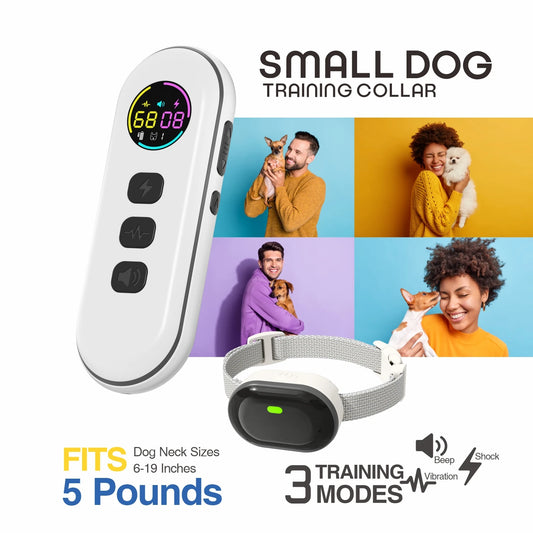 Small Dog Training Collars