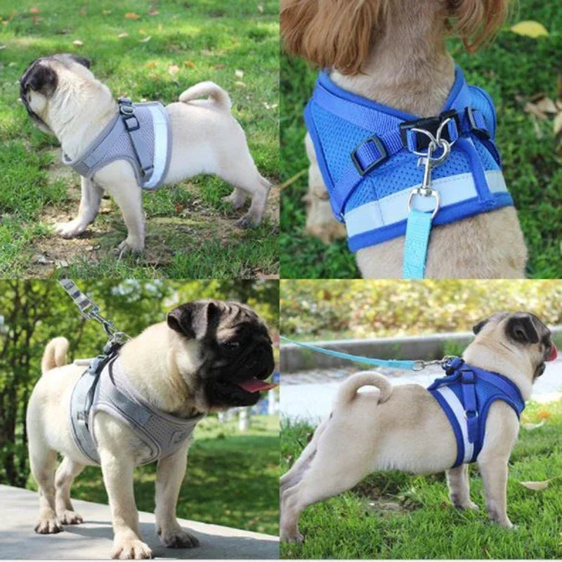 Adjustable Mesh Vest   Harness